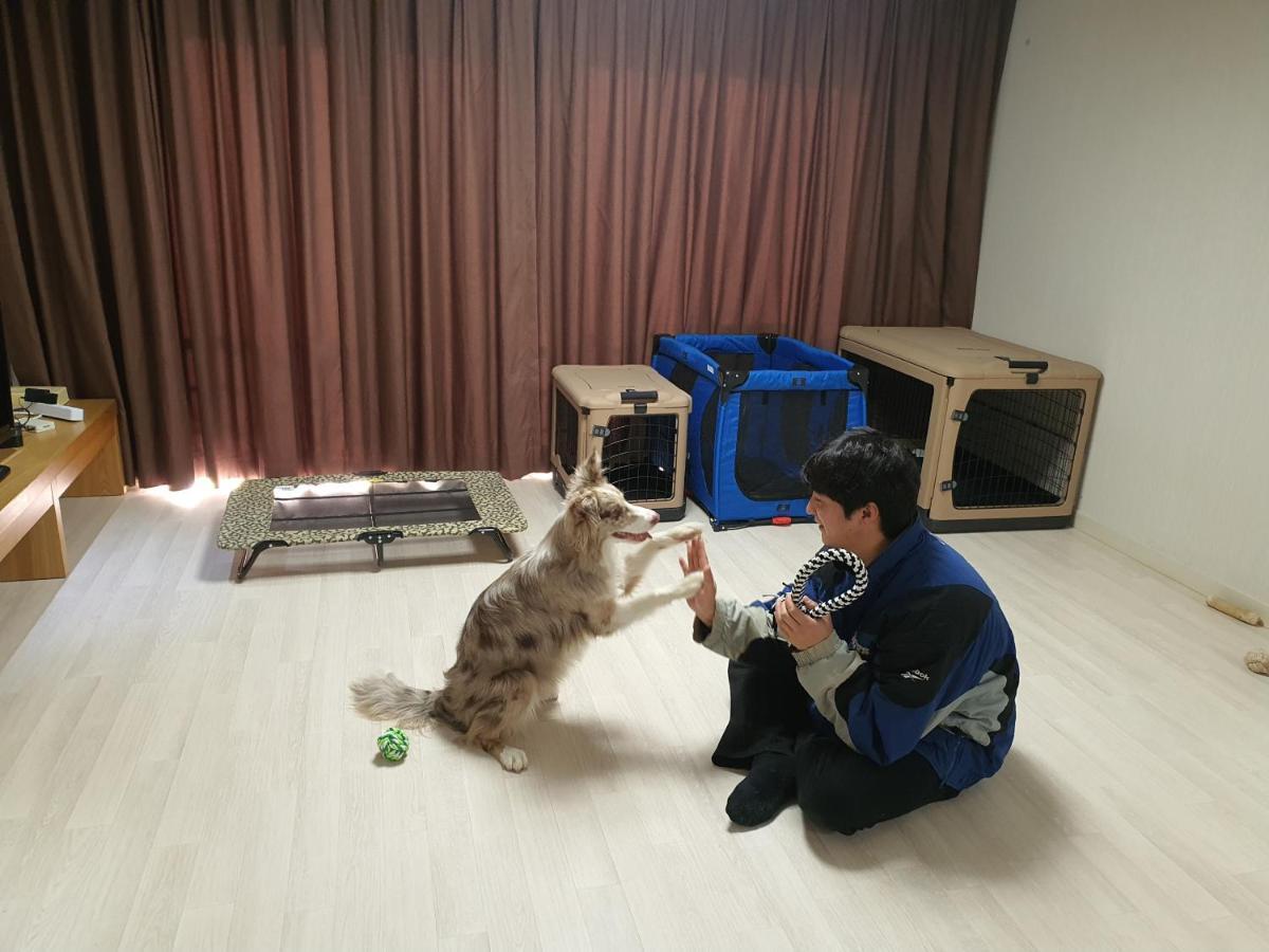 Hi Jeju Hotel Luaran gambar