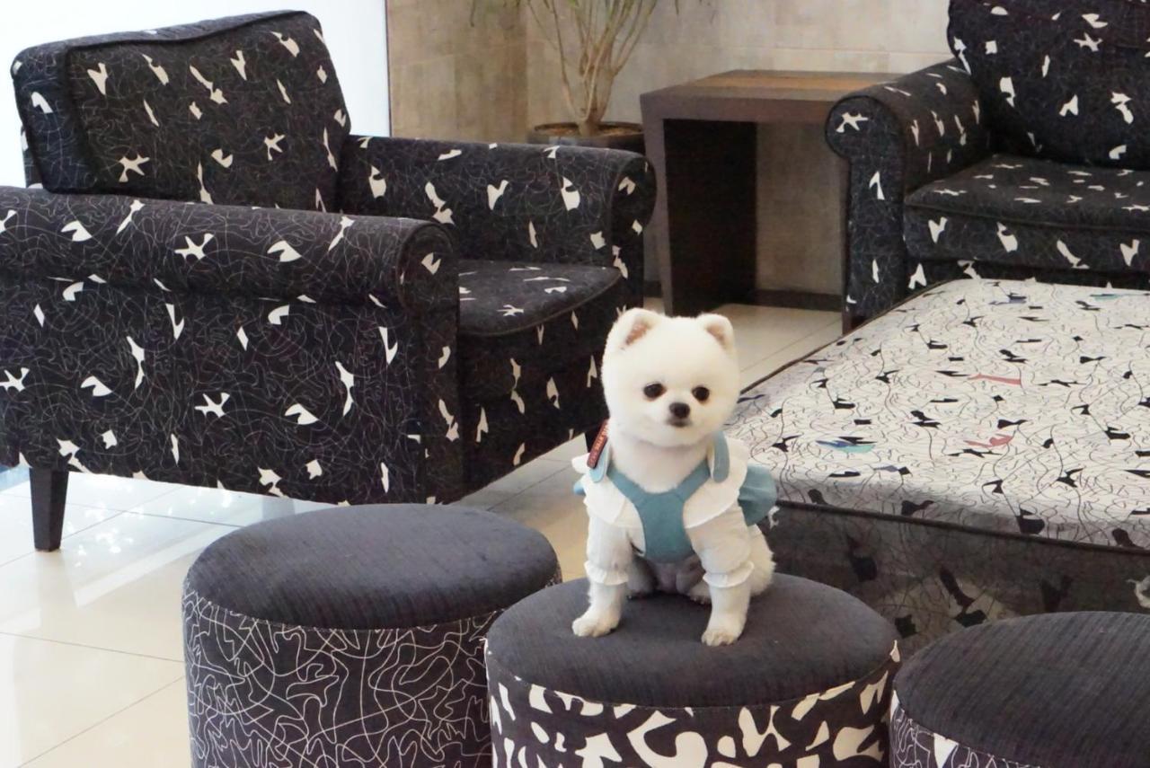 Hi Jeju Hotel Luaran gambar
